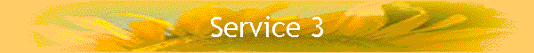 Service 3