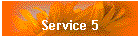 Service 5